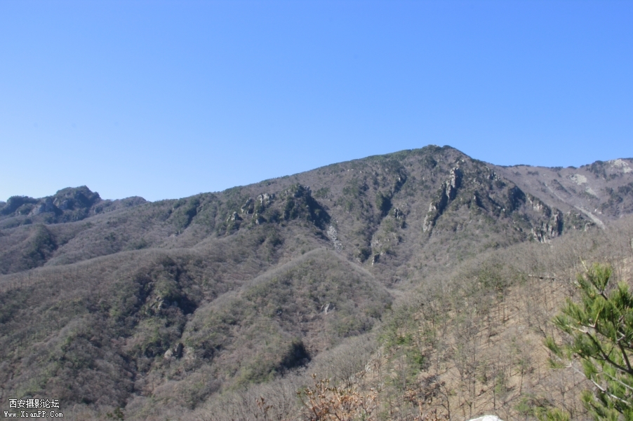 _MG_0058.JPG