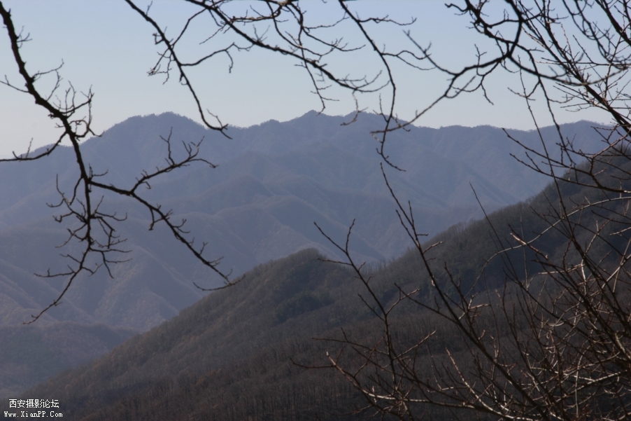_MG_0045.JPG