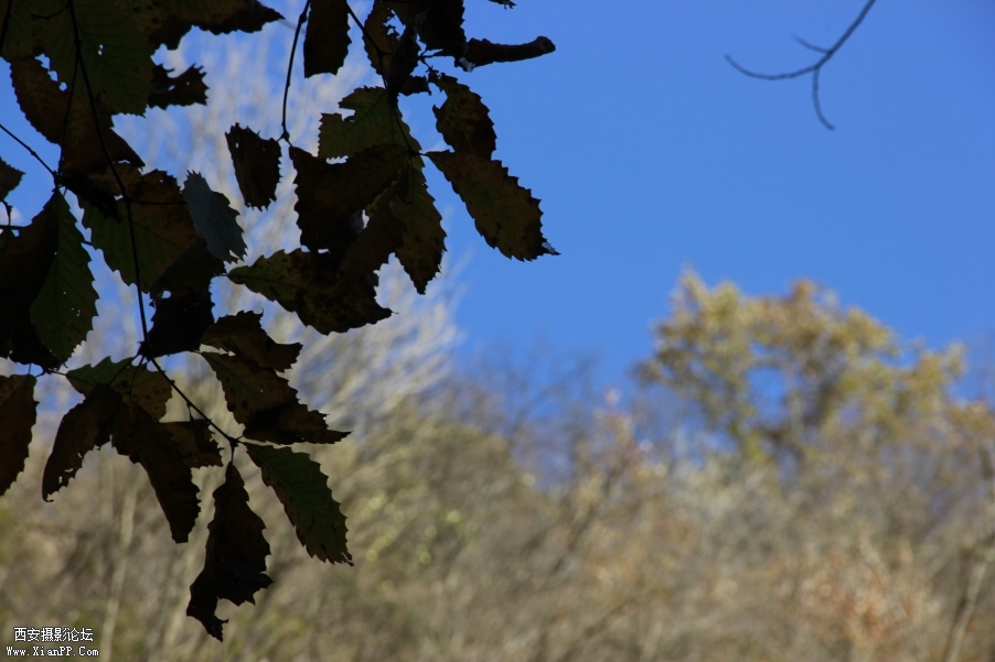 _MG_0414.JPG