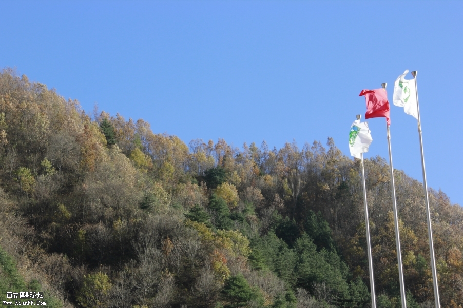 _MG_0442.JPG