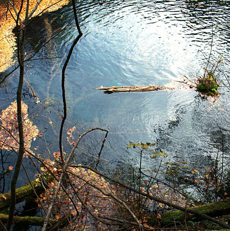 L1021803.jpg