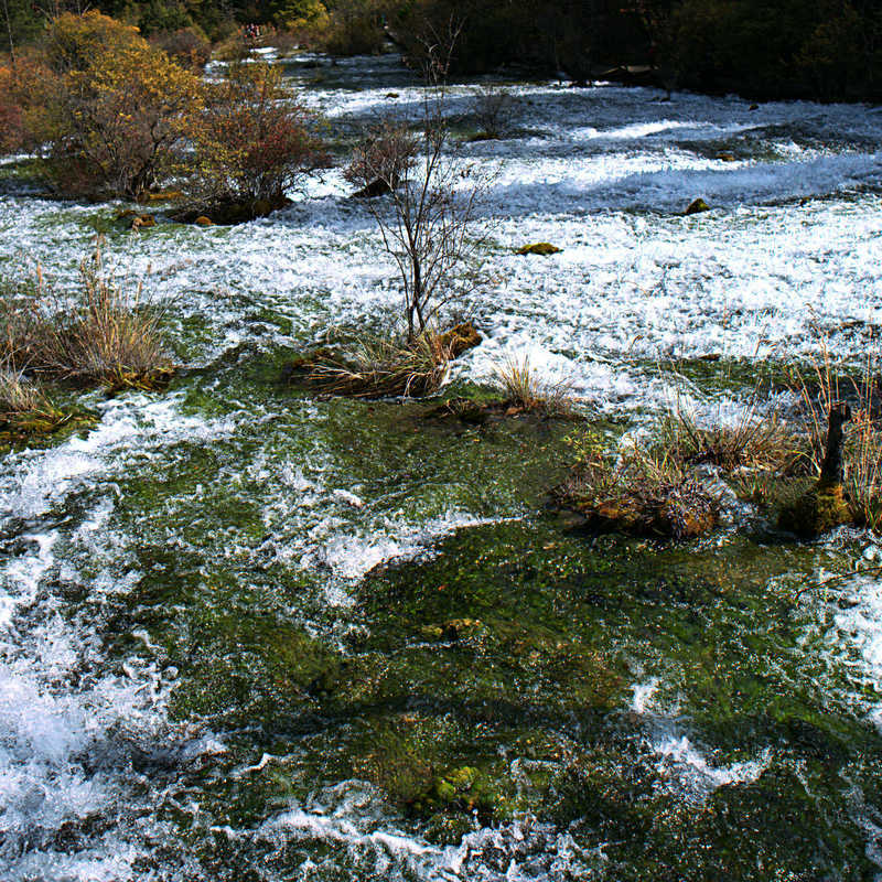 L1021835.jpg