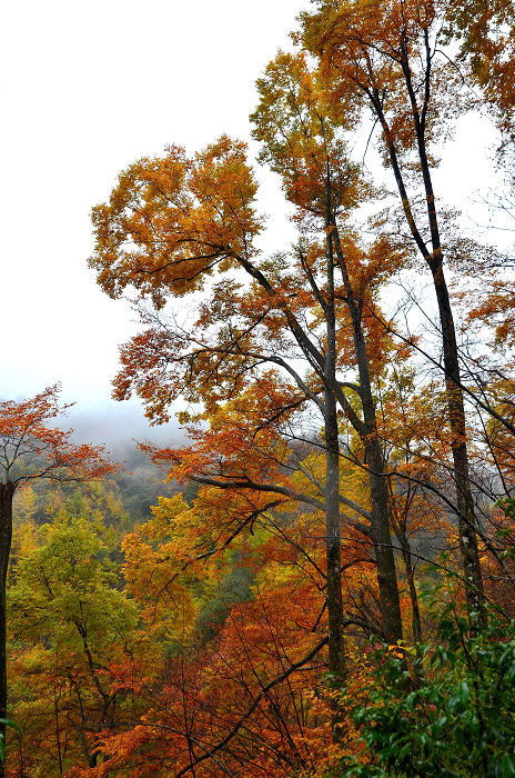 DSC_1805.JPG