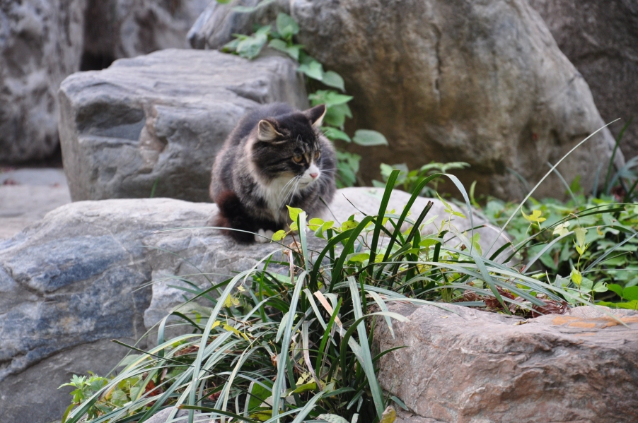 DSC_0608.JPG