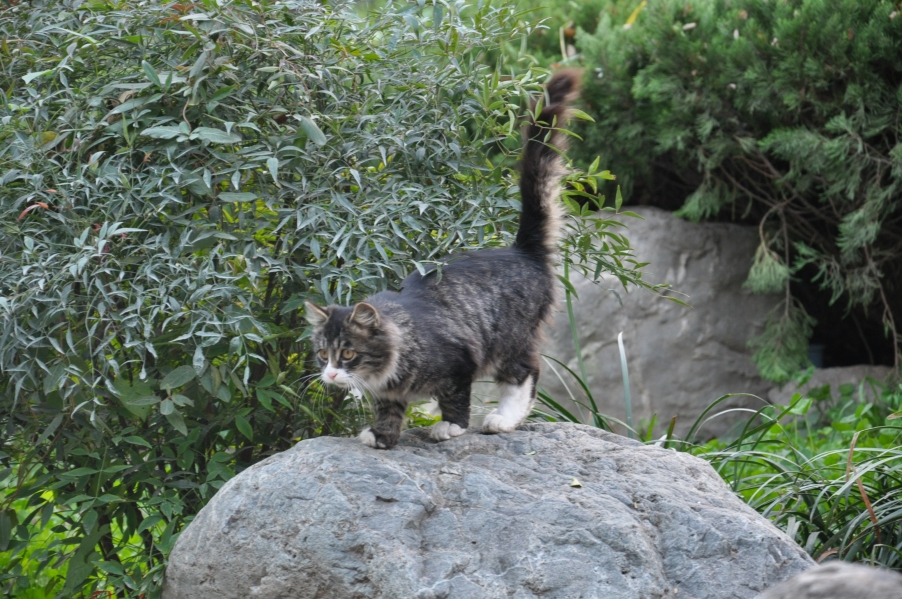 DSC_0614.JPG