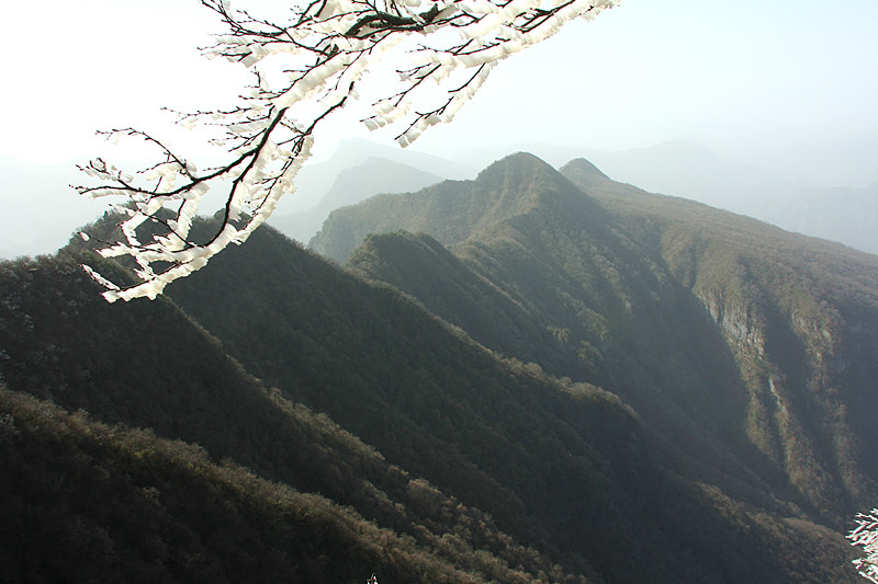 IMG_5984_副本.jpg