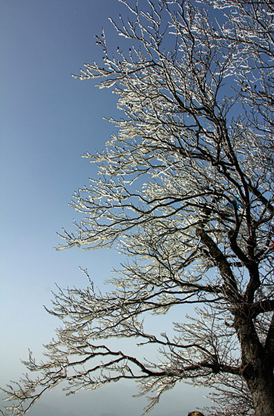 IMG_5974_副本.jpg