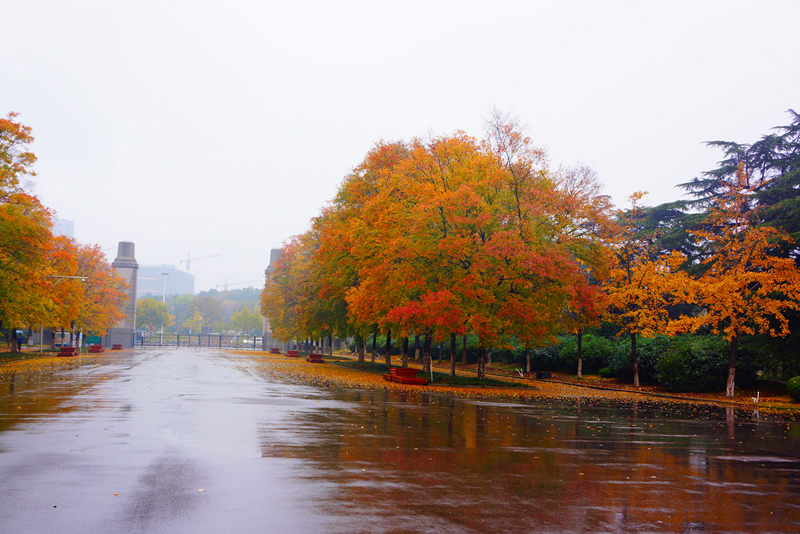 DSC03387_副本.jpg