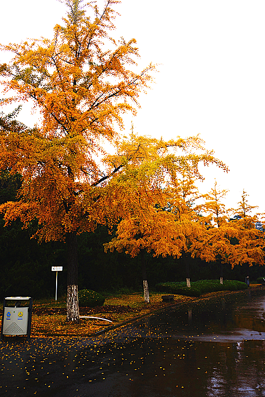 DSC03389_副本.jpg