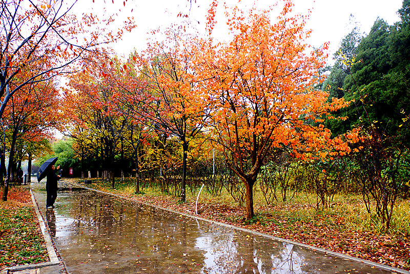 DSC03431_副本.jpg