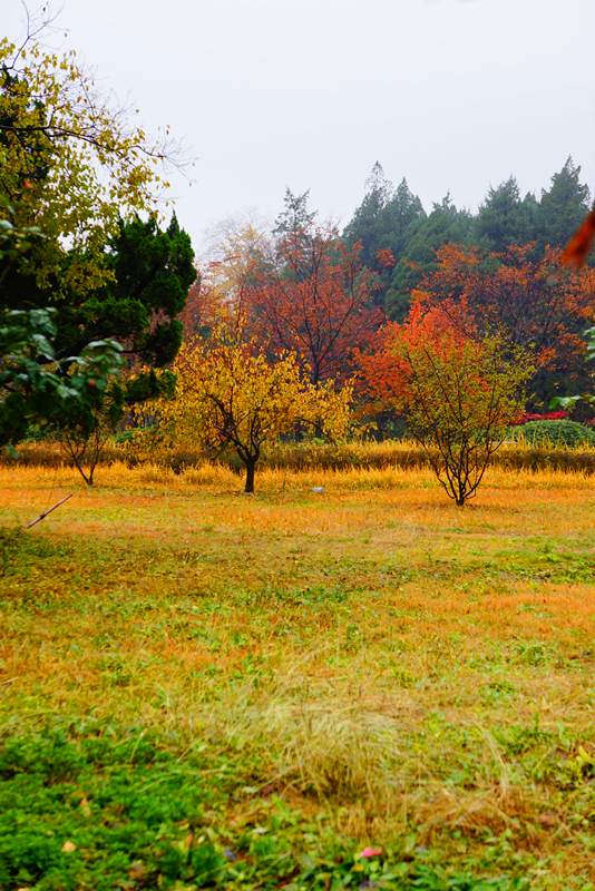 DSC03498_副本.jpg