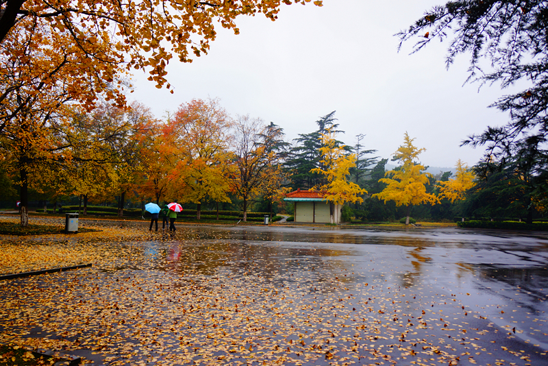 DSC03512_副本.jpg