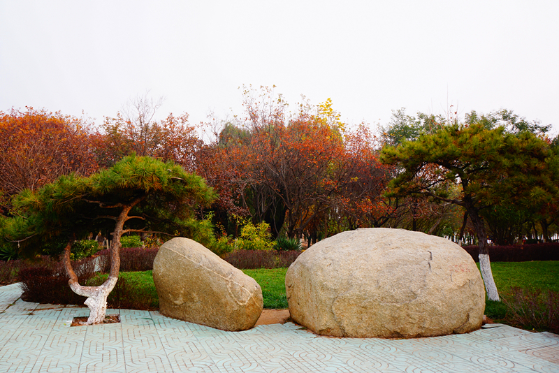 DSC02805_副本.jpg