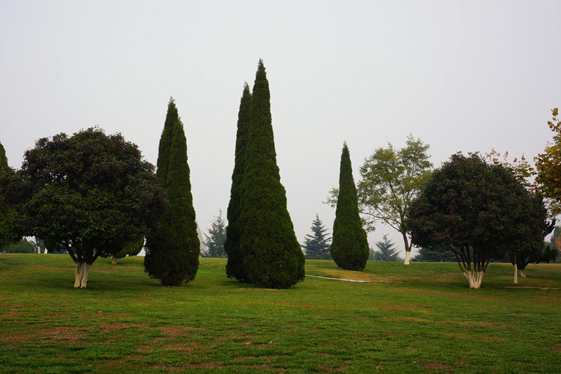 DSC02807_副本.jpg