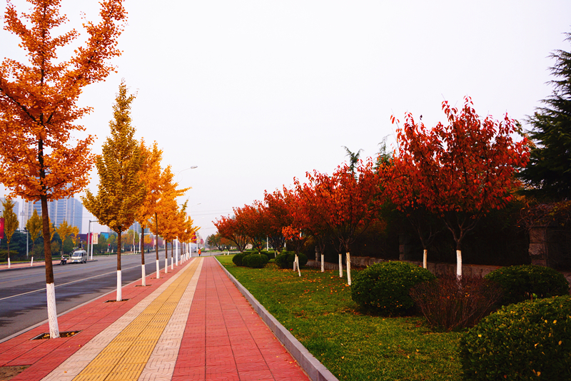 DSC02817_副本.jpg