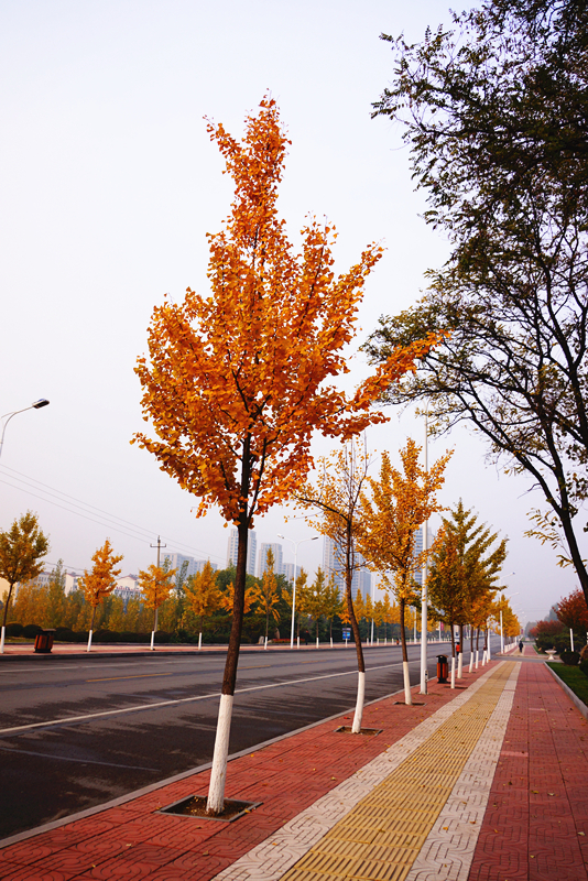 DSC02819_副本.jpg