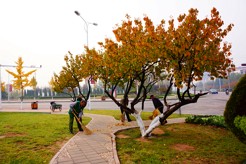 DSC02822_副本.jpg