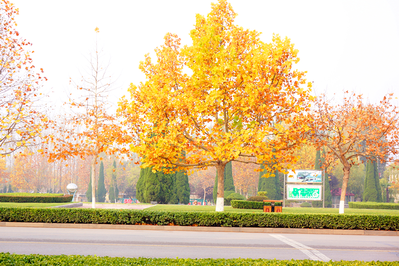 DSC02830_副本.jpg
