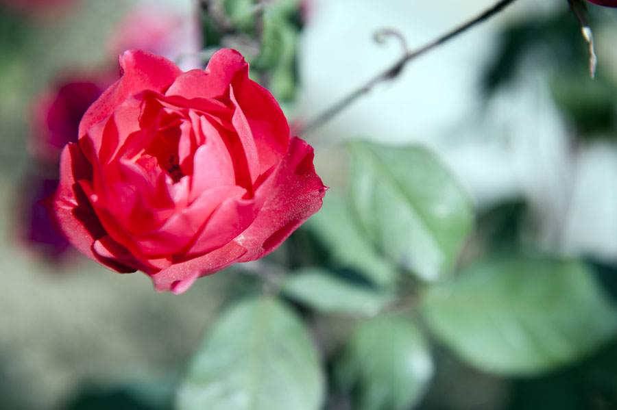 DSC_1671.jpg