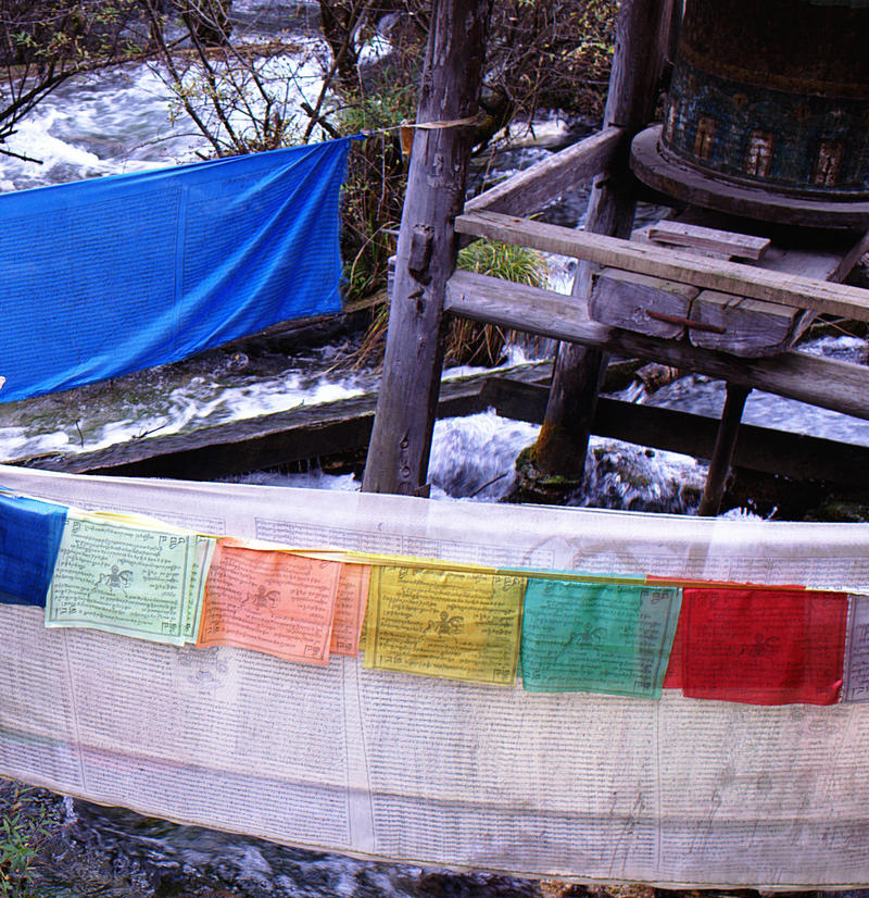 L1022195.jpg