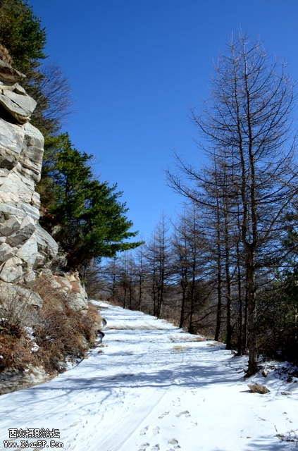 DSC_0894.jpg