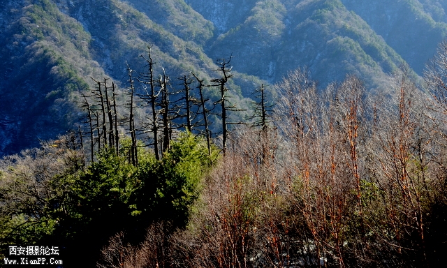 DSC_0916.jpg