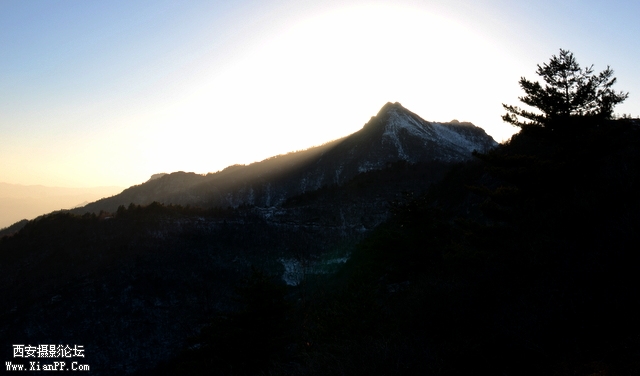 DSC_0971.jpg