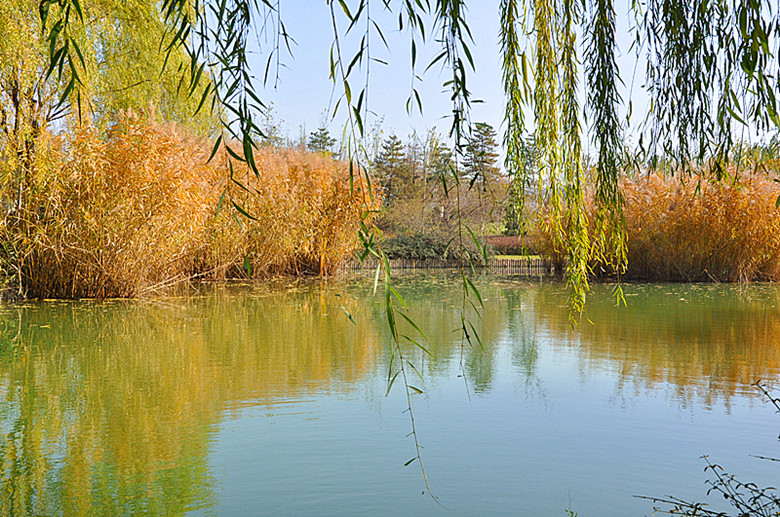 DSC_1904_副本.jpg