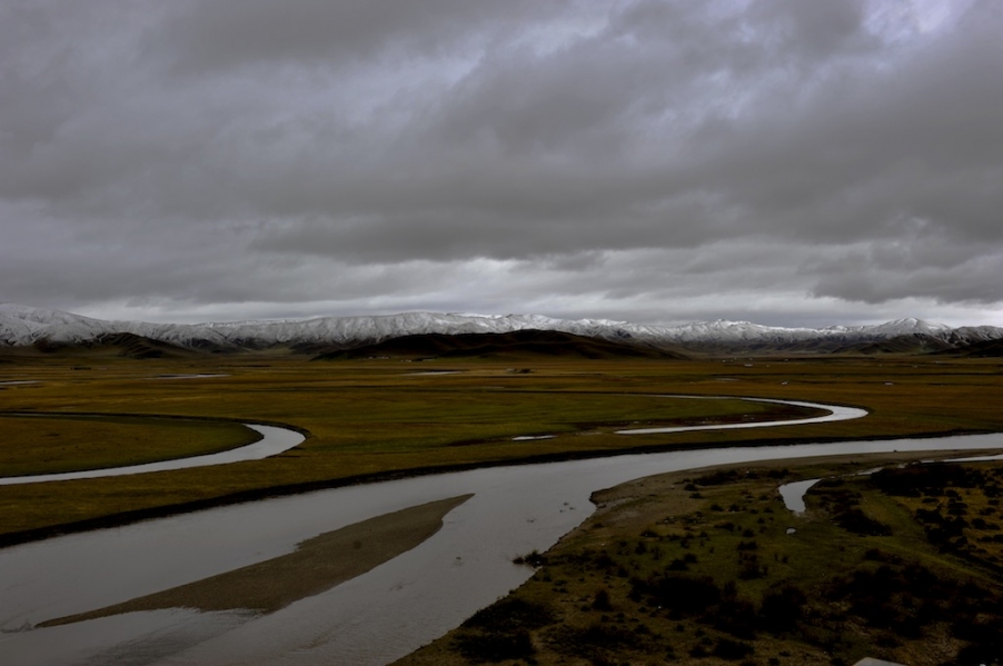 DSC_3447.JPG