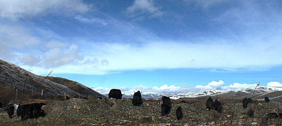 L1022444.jpg