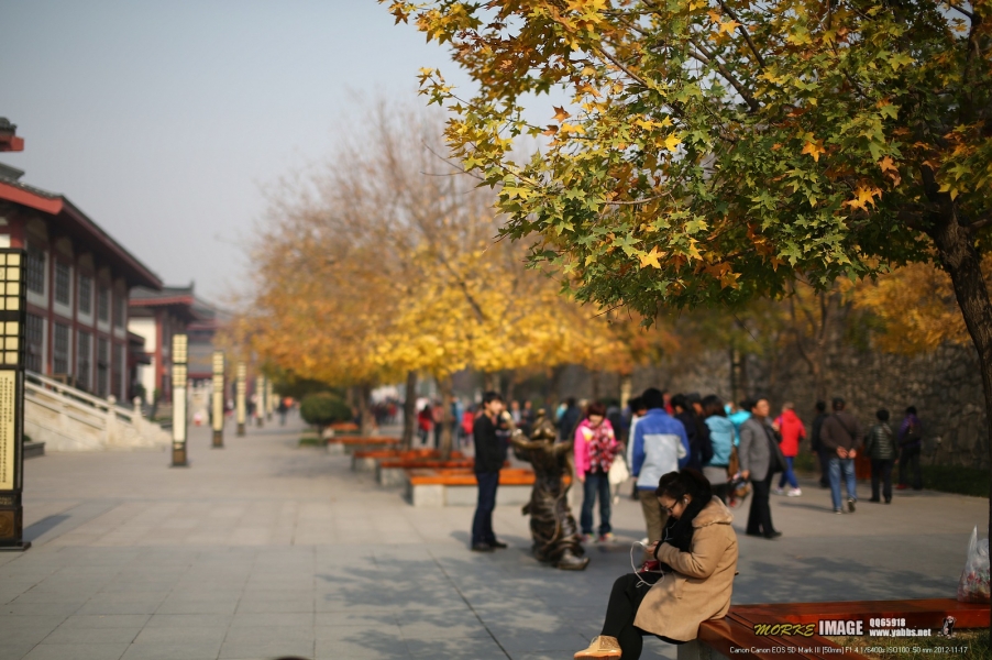 1G8A5797a.jpg