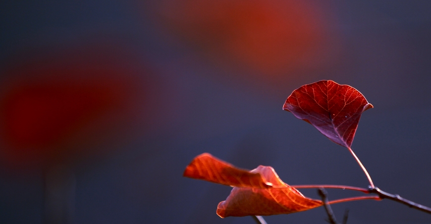 秦岭山水 079.jpg