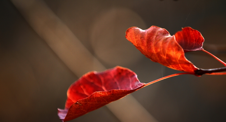 秦岭山水 080.jpg