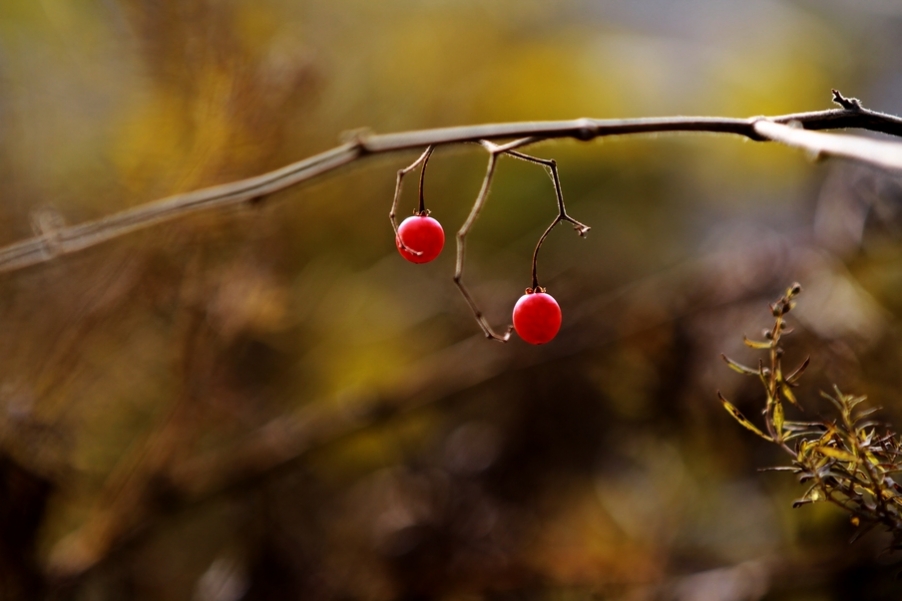 秦岭山水 084.jpg