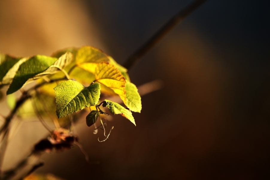 秦岭山水 106.jpg
