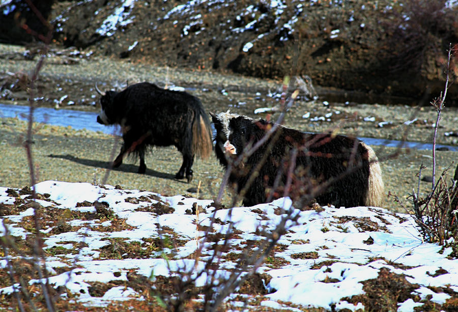 IMG_5455.jpg