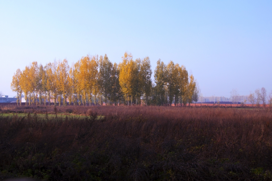 DSC_0475.jpg