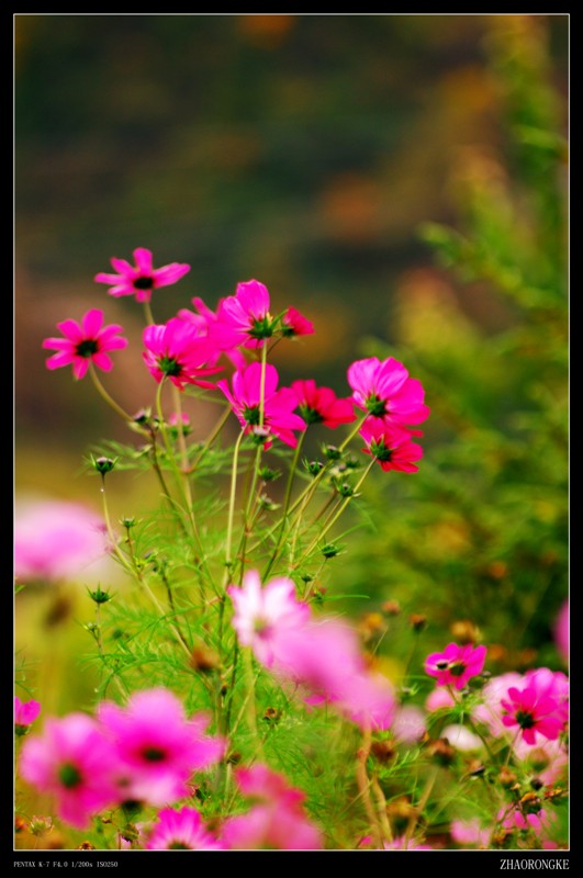 BDCAFP21XWCAHMGW7YCAO7WBA7CAWZGE1WCAF6ED6WCA7B3HQVCAX0KI74CAJXBIBOCAITCYQDCA4LC5.jpg