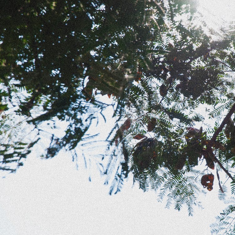 64422973201208251916071529336850470_000_640.jpg