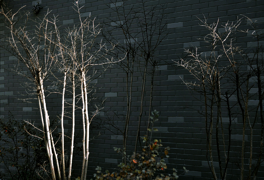 S_0001.JPG