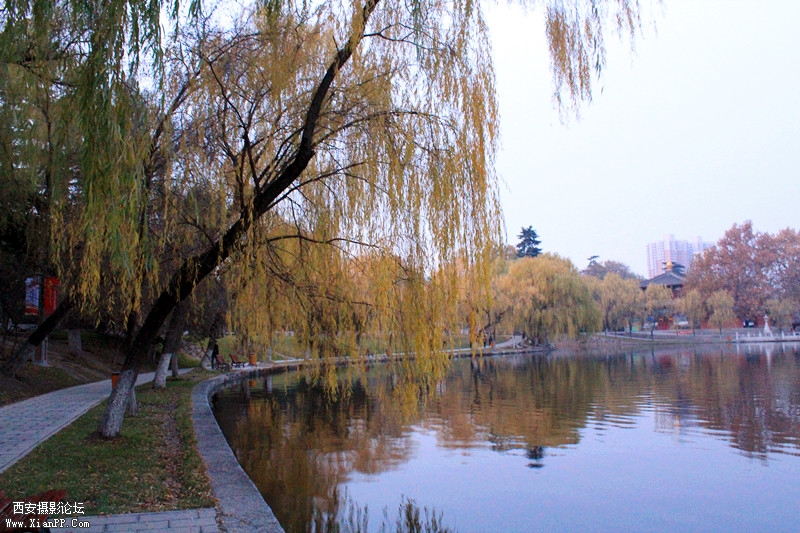 IMG_8430_副本.jpg
