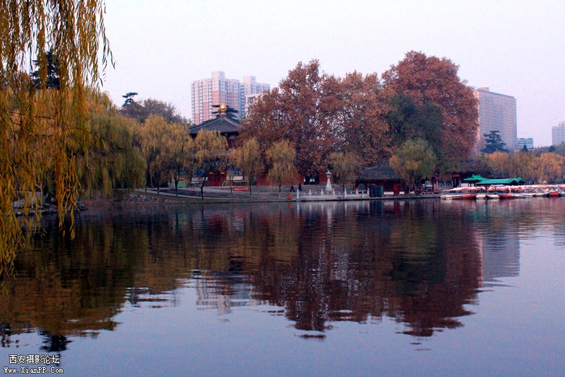 IMG_8435_副本.jpg