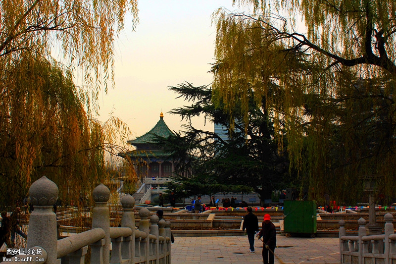 IMG_8488_副本.jpg
