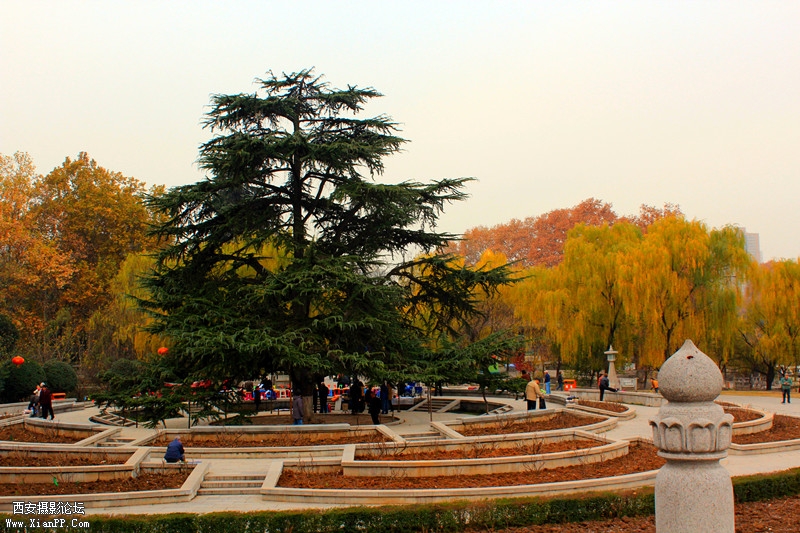 IMG_8498_副本.jpg