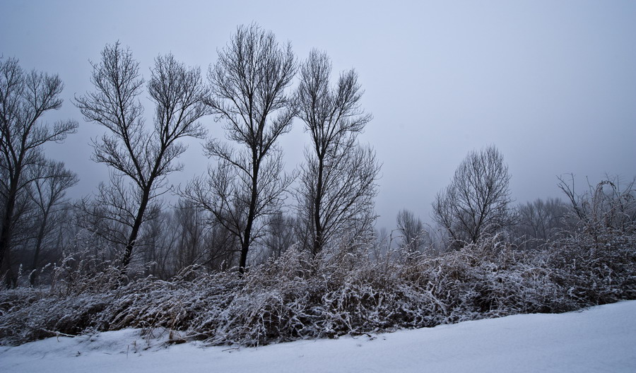 DSC_3825.JPG
