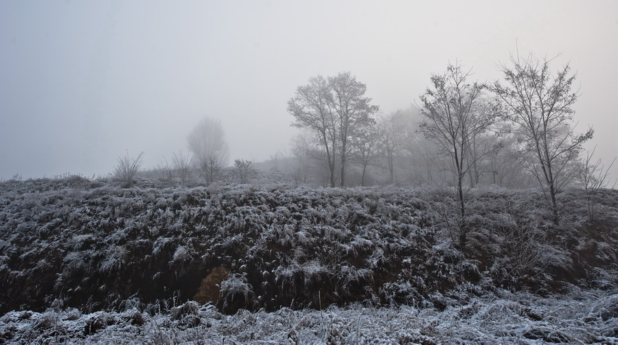 DSC_3837.JPG