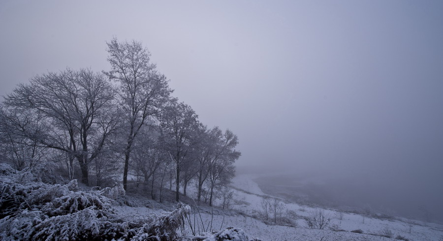 DSC_3844.JPG