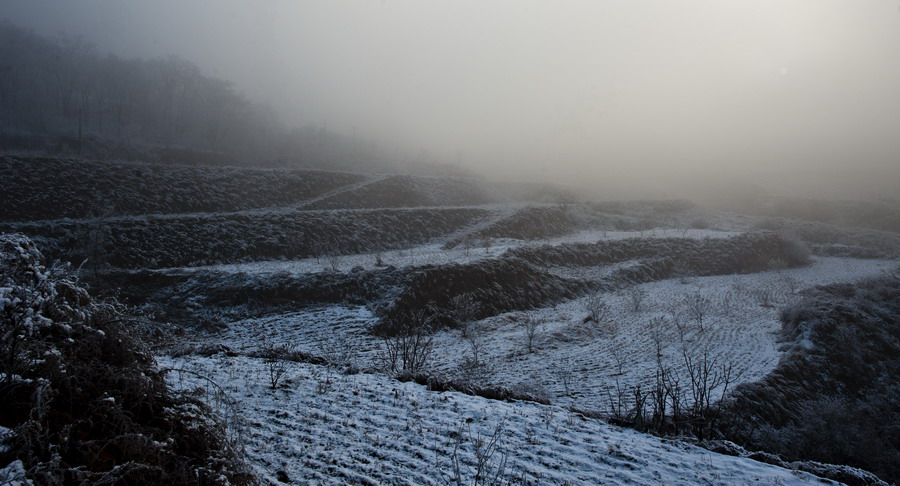 DSC_3879.JPG