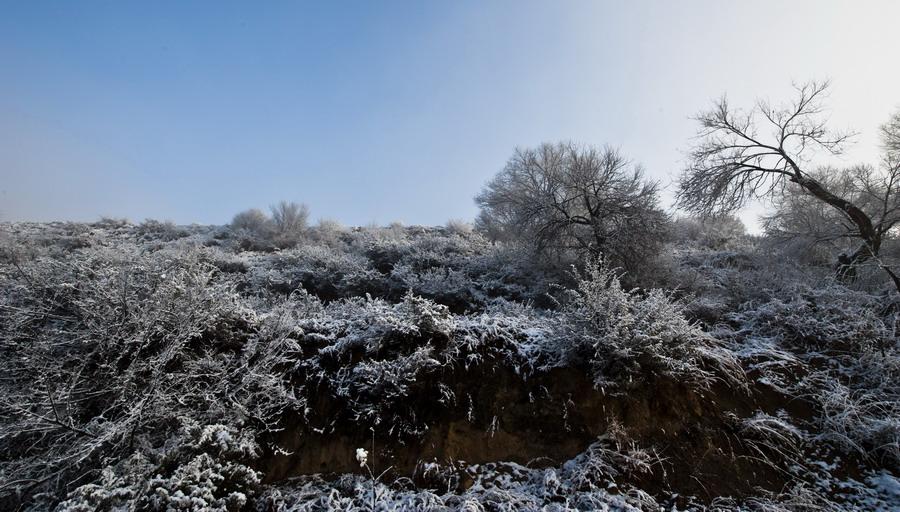 DSC_3887.JPG