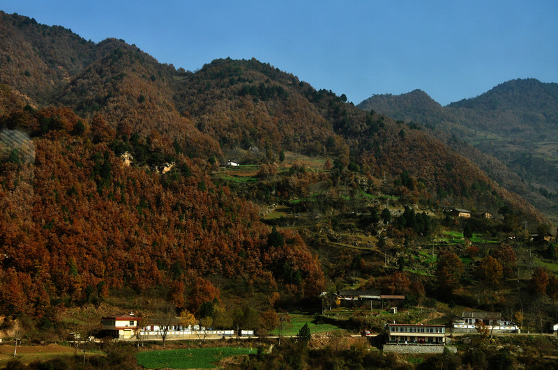DSC_8428.jpg
